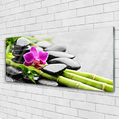 Acrylic Print Bamboo tube flower stones art green red black