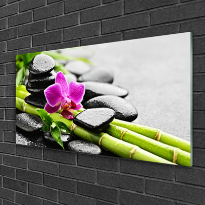 Acrylic Print Bamboo tube flower stones art green red black