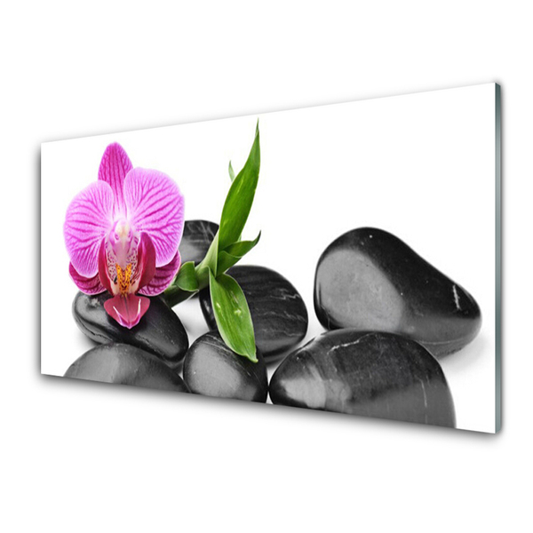 Acrylic Print Flower stones art pink black