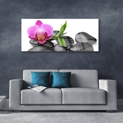 Acrylic Print Flower stones art pink black