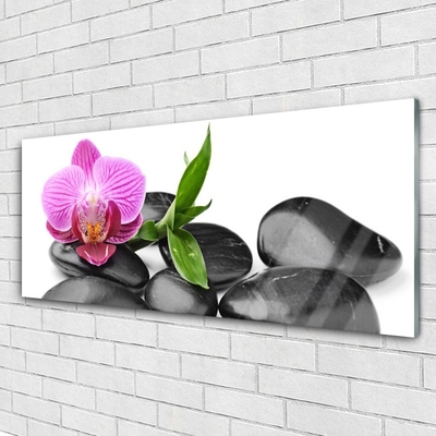 Acrylic Print Flower stones art pink black