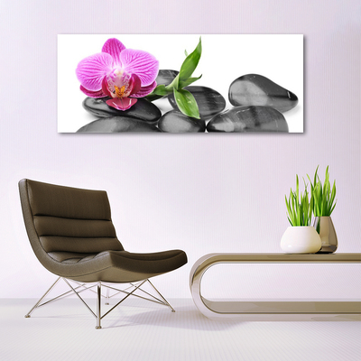 Acrylic Print Flower stones art pink black