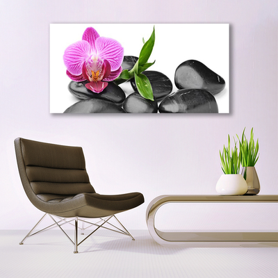 Acrylic Print Flower stones art pink black