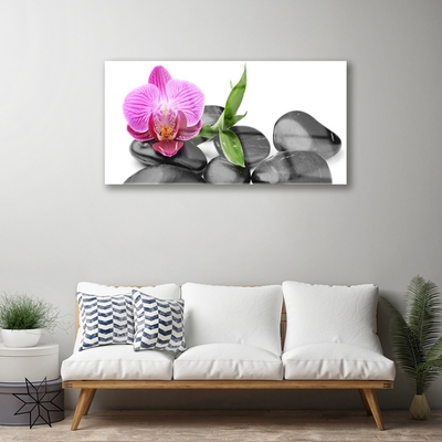 Acrylic Print Flower stones art pink black