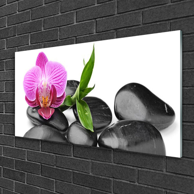 Acrylic Print Flower stones art pink black