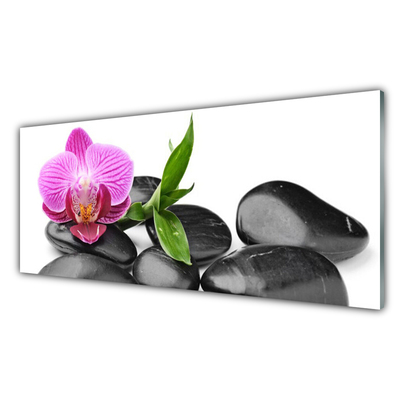 Acrylic Print Flower stones art pink black