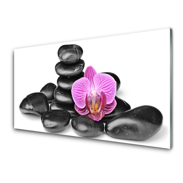 Acrylic Print Flower stones art pink black