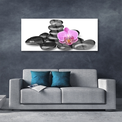 Acrylic Print Flower stones art pink black