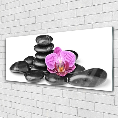 Acrylic Print Flower stones art pink black