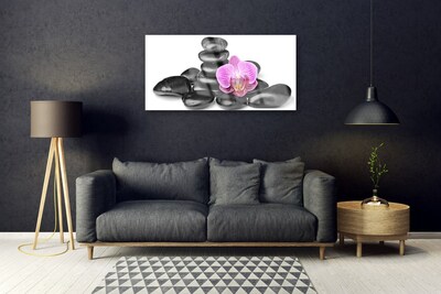 Acrylic Print Flower stones art pink black