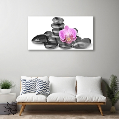 Acrylic Print Flower stones art pink black