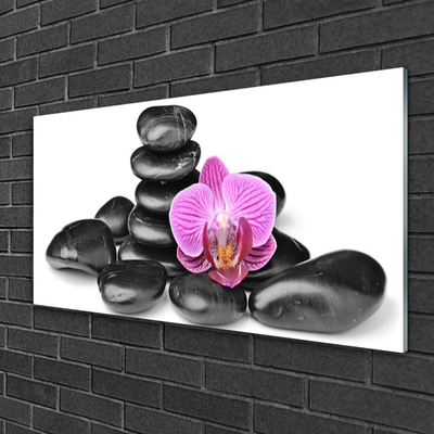 Acrylic Print Flower stones art pink black