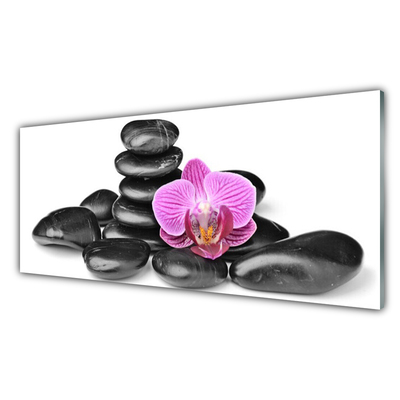 Acrylic Print Flower stones art pink black