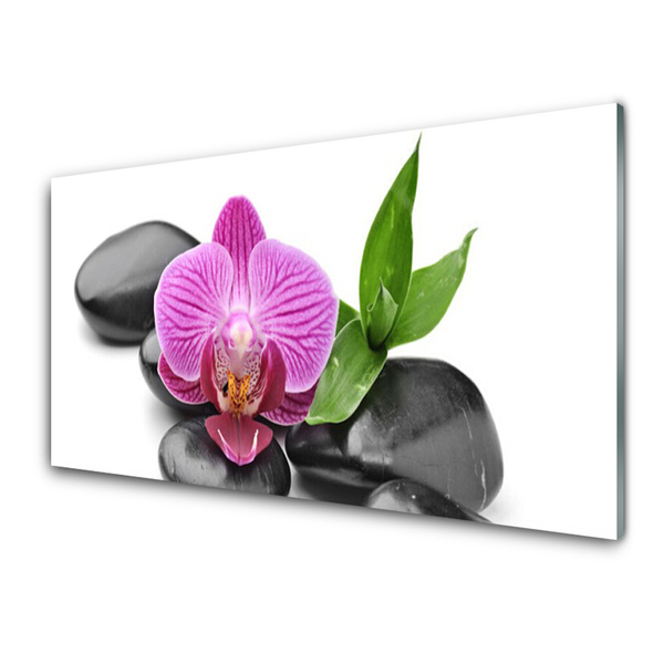 Acrylic Print Flower stones art pink black