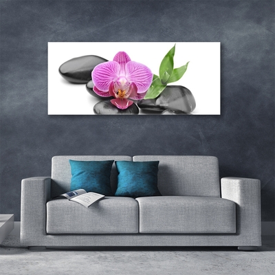 Acrylic Print Flower stones art pink black