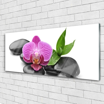 Acrylic Print Flower stones art pink black