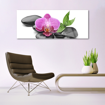 Acrylic Print Flower stones art pink black