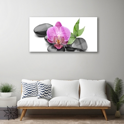 Acrylic Print Flower stones art pink black