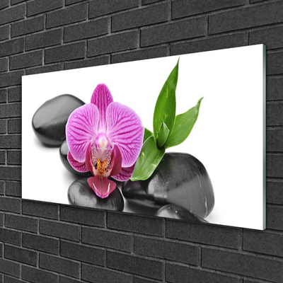 Acrylic Print Flower stones art pink black