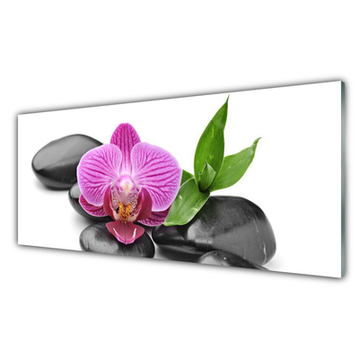 Acrylic Print Flower stones art pink black