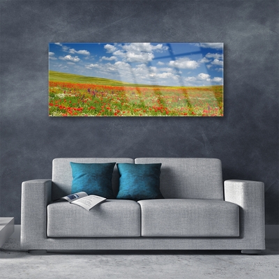 Acrylic Print Meadow flowers landscape red white green