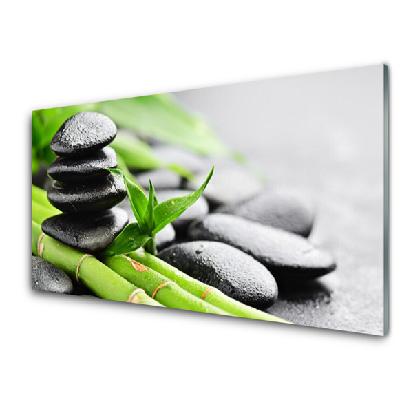 Acrylic Print Bamboo tube stones floral green black