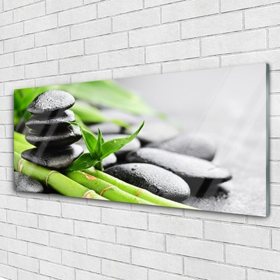 Acrylic Print Bamboo tube stones floral green black