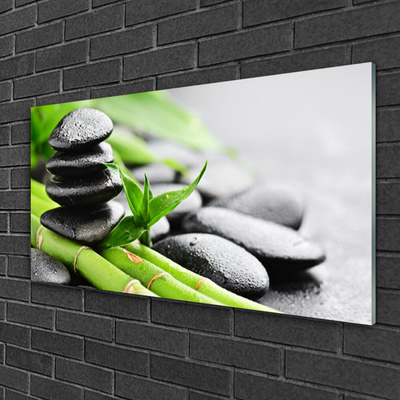 Acrylic Print Bamboo tube stones floral green black