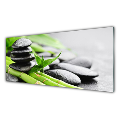 Acrylic Print Bamboo tube stones floral green black