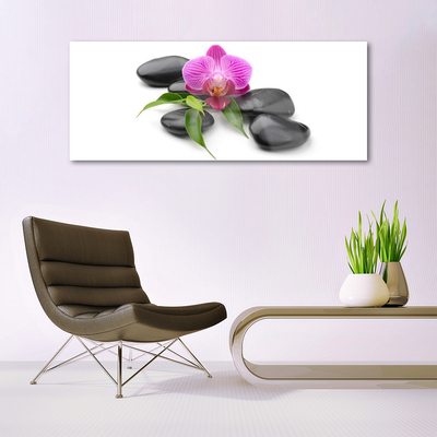 Acrylic Print Flower stones art pink black