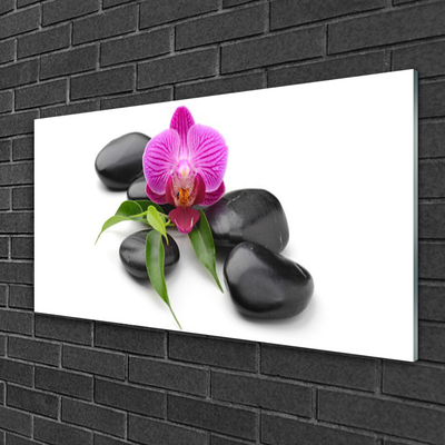 Acrylic Print Flower stones art pink black