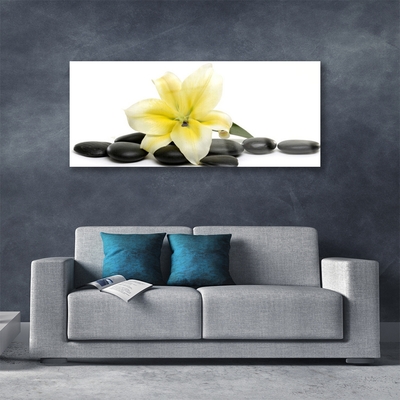 Acrylic Print Flower stones art white green black