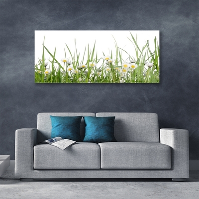 Acrylic Print Grass daisies nature green white yellow