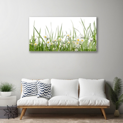 Acrylic Print Grass daisies nature green white yellow