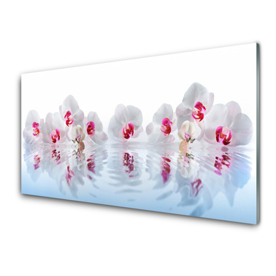 Acrylic Print Flowers art white red