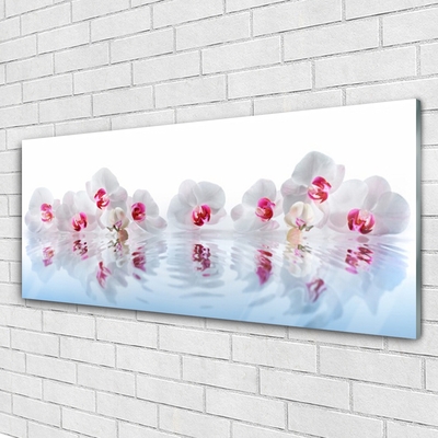 Acrylic Print Flowers art white red
