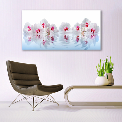 Acrylic Print Flowers art white red