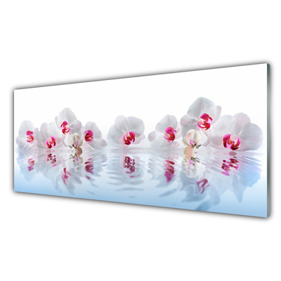 Acrylic Print Flowers art white red