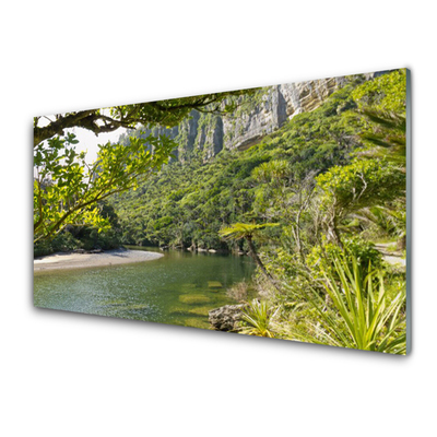 Acrylic Print Lake nature green