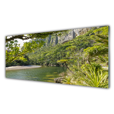 Acrylic Print Lake nature green