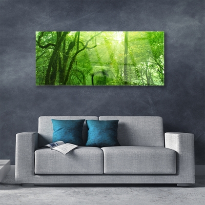 Acrylic Print Trees nature brown green