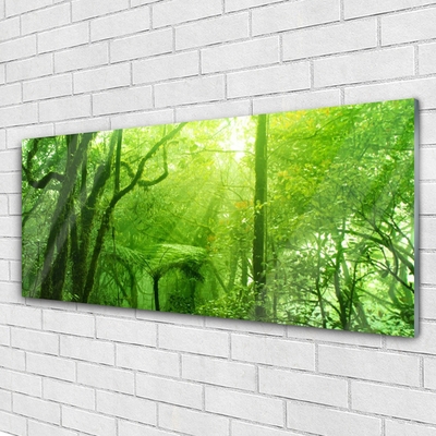 Acrylic Print Trees nature brown green