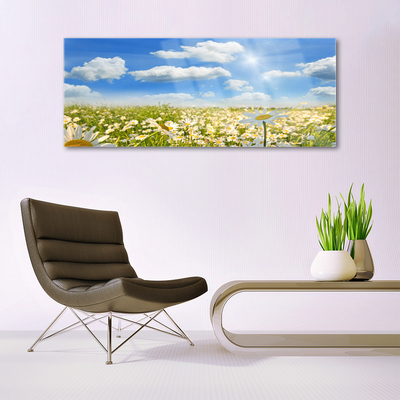 Acrylic Print Meadow daisies nature green blue white