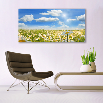 Acrylic Print Meadow daisies nature green blue white