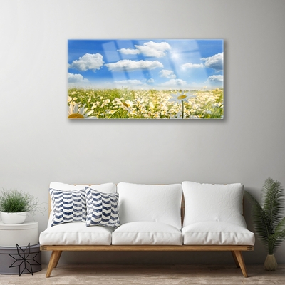 Acrylic Print Meadow daisies nature green blue white