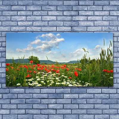 Plexiglas® Wall Art Meadow flowers nature green red white