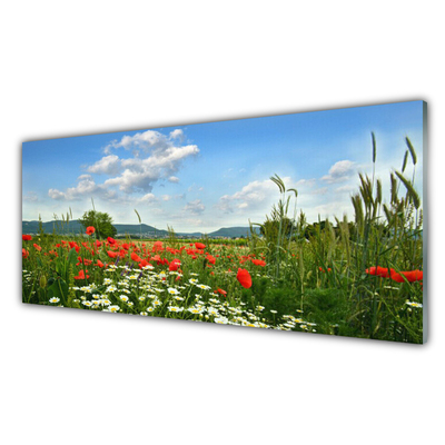 Plexiglas® Wall Art Meadow flowers nature green red white
