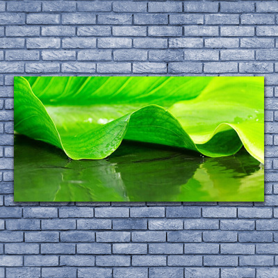 Plexiglas® Wall Art Leaf floral green