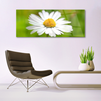 Plexiglas® Wall Art Daisy floral yellow white