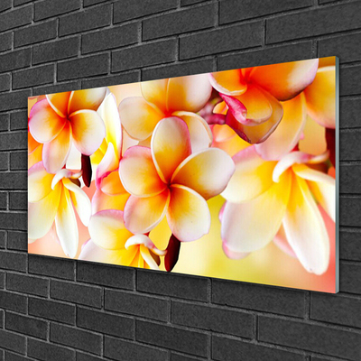 Plexiglas® Wall Art Flowers floral red green white